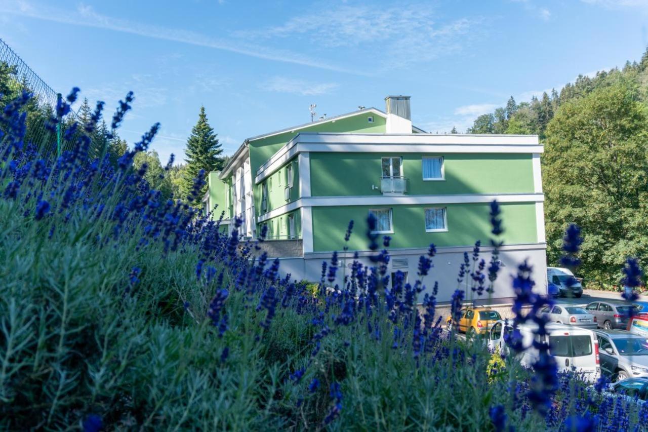 Wellness Hotel Green Paradise Pirkenhammer Exteriör bild