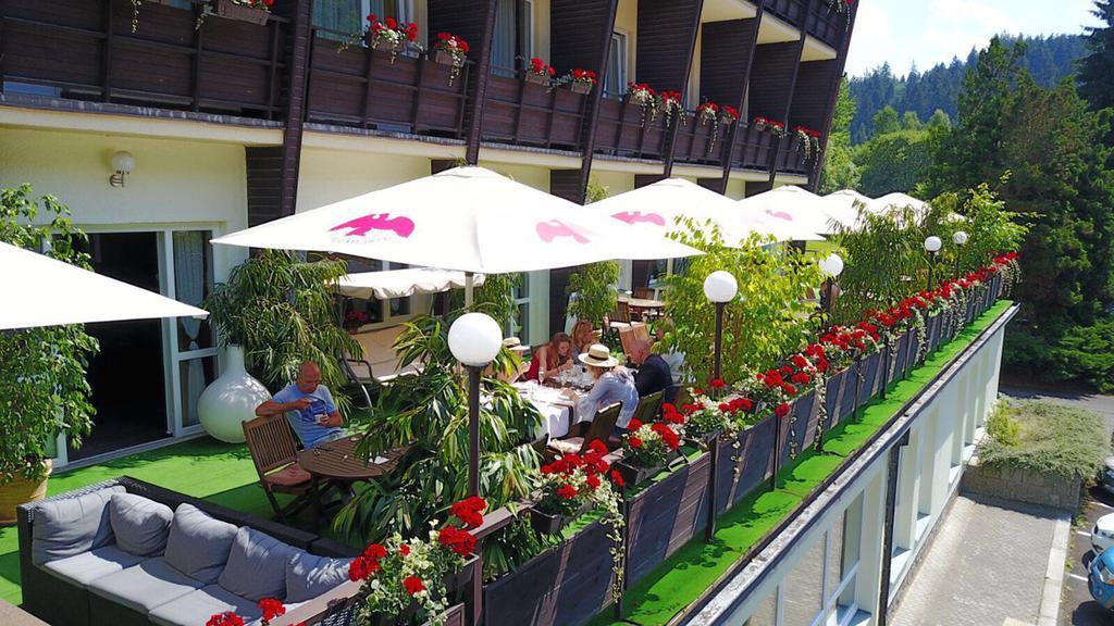 Wellness Hotel Green Paradise Pirkenhammer Exteriör bild